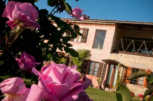 Roses on Cascina rosa b&b, bed and breakfast in Monferrato