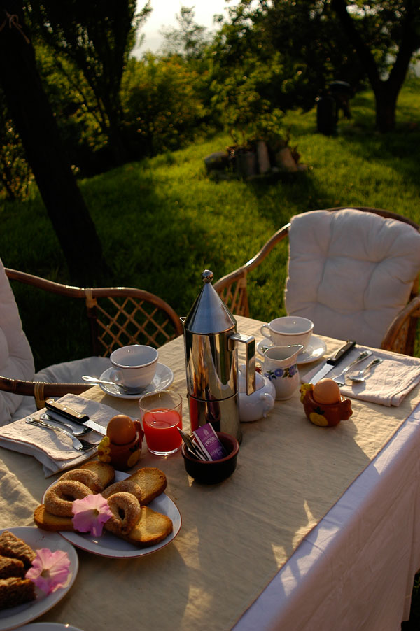 Breakfast in the garden - Cascina rosa b&b in Monferrato