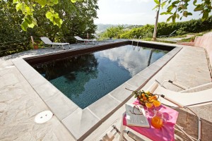 Black swimming pool - Cascina rosa b&b, bed and breakfast in Monferrato