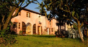 Cascina rosa b&b, bed and breakfast in Monferrato