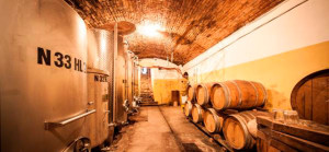 Cantina Azienda agricola Rappellino