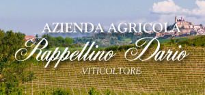 Azienda agricola Dario Rappellino - Grazzano Badoglio