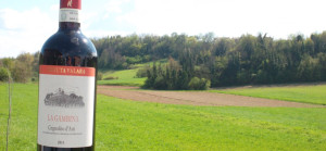 Grignolino d'Asti - Fratelli Natta - Grazzano .B.